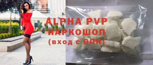 сатива Няндома