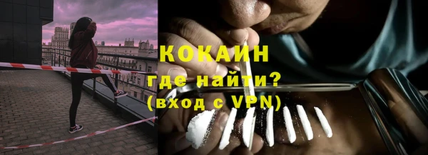 сатива Елабуга