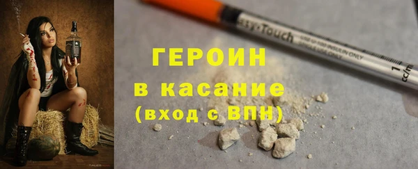 сатива Елабуга