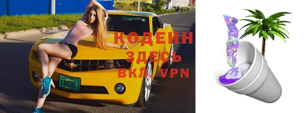 дмт Ельня