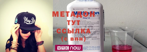сатива Няндома