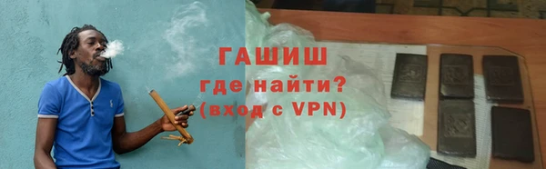 сатива Няндома