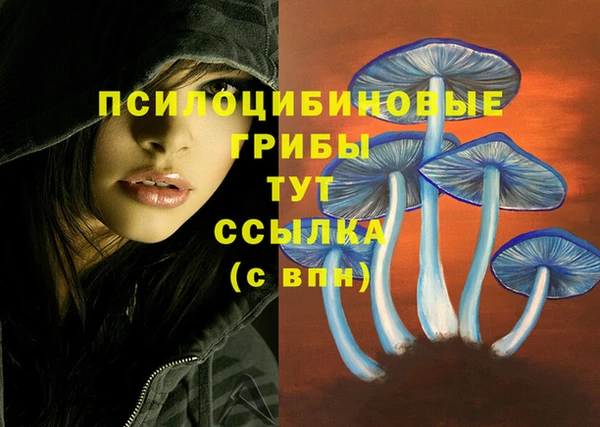не бодяженный Елизово