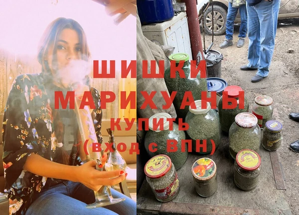 дмт Ельня