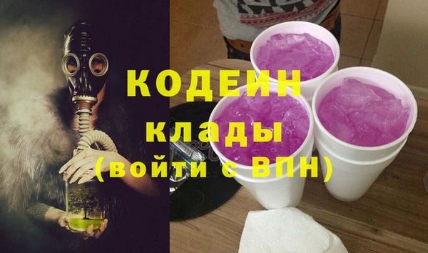 сатива Елабуга