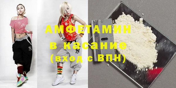 дмт Ельня