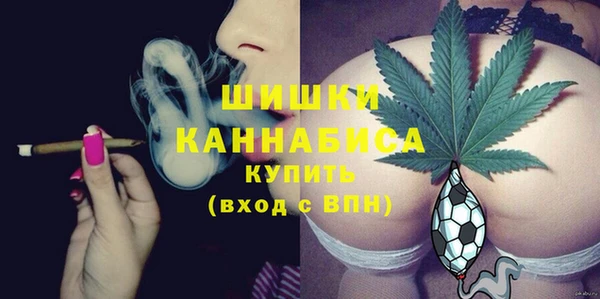сатива Елабуга