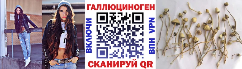 Галлюциногенные грибы мицелий  где купить наркоту  мега онион  Камень-на-Оби 
